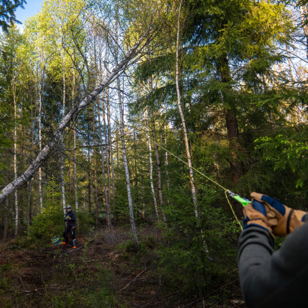 Nordic Pocket Saw - LINEWORKER (El-certifierad kastsåg) - Bild 7